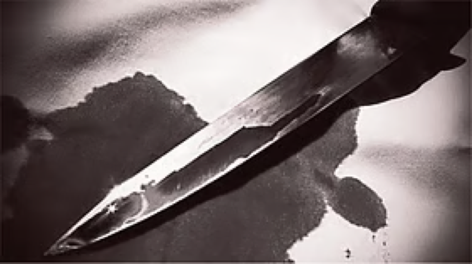 Source-supplied image for: Delhi Factory Tragedy: 19-Year-Old Sahil Stabbed To Death By Co-Worker In Chauhan Bangar, Police Launch Investigation | Watch